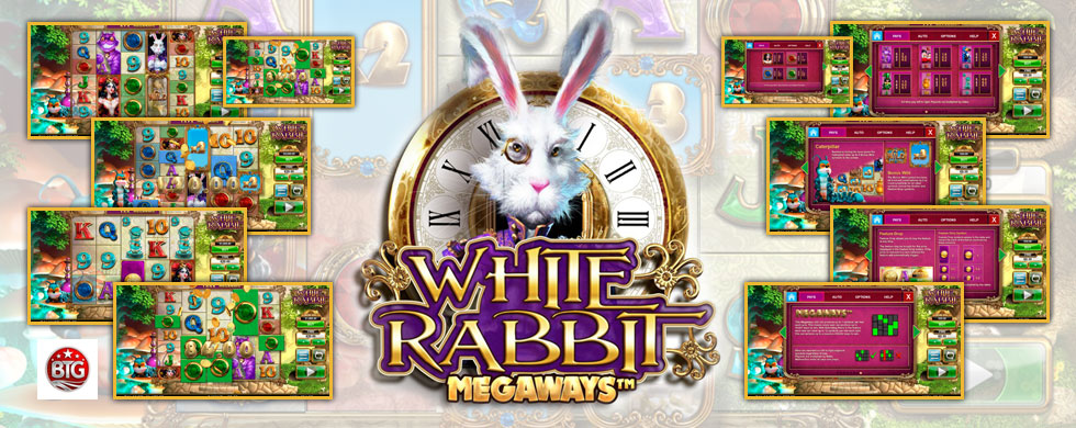 White-Rabbit-1